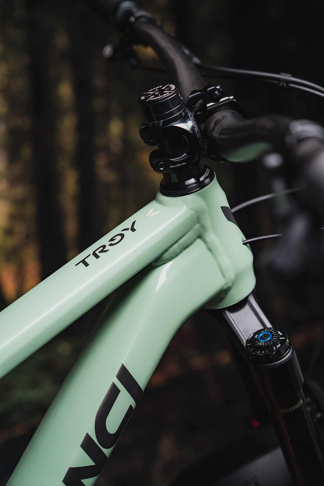 Bike Review Devinci Troy Freehub Magazine